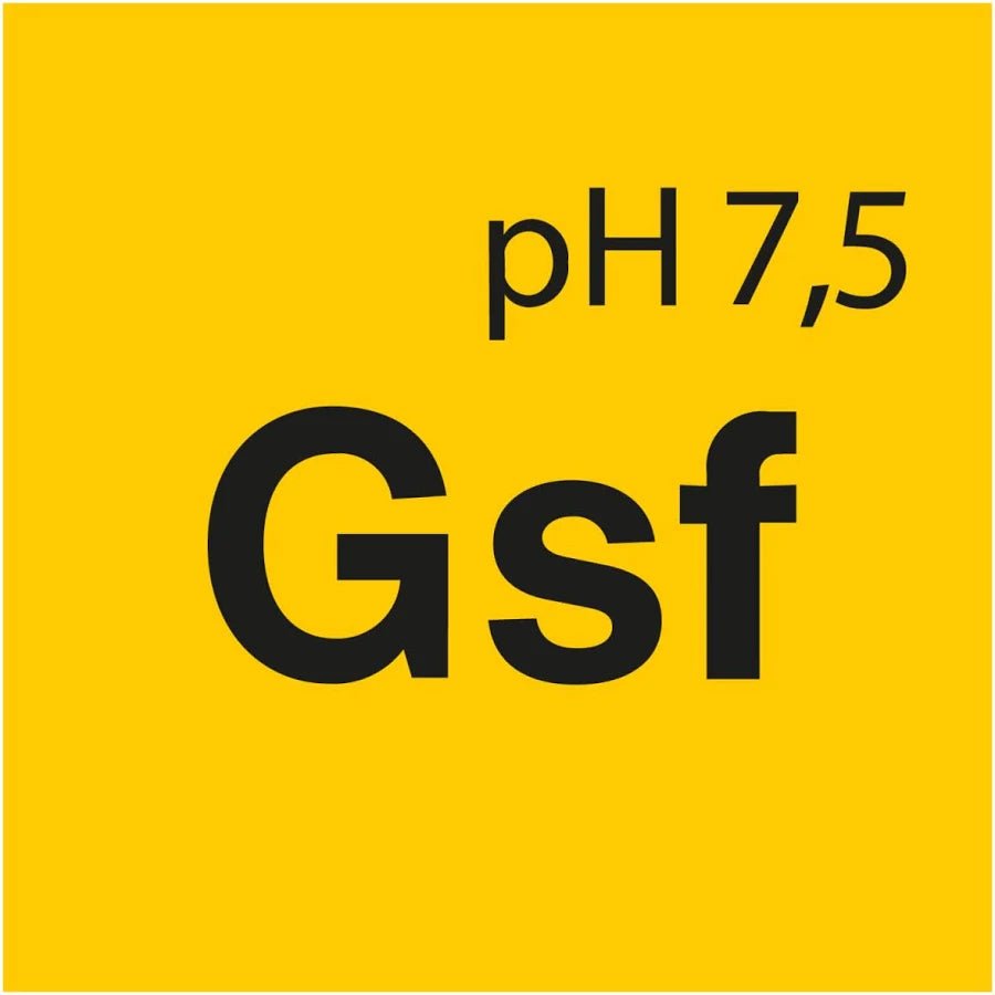 Koch Chemie Gentle Snow Foam GSF - De Detailshop